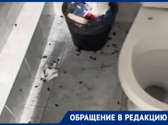 В стоматологической поликлинике №4 Ростова пациента встретили не врачи, а тараканы