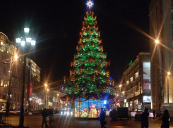 На новогодние праздники в Ростове-на-Дону установили всего одну живую елку