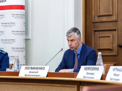 Алексей Логвиненко предложил отлавливать попавших из-за ливней под потоки воды ростовчан