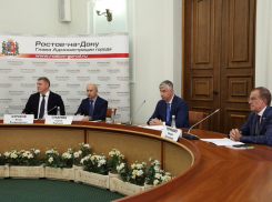 На Левом берегу Дона построят 19-этажный бизнес-центр за 1,6 млрд рублей