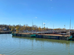 Госэкспертиза не одобрила проект моста на Зеленый остров в Ростове