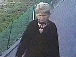 Наказавшая с десяток автомобилей за парковку на тротуаре ростовская бабуля-росомаха попала на видео