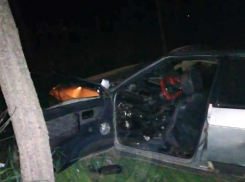 Мужчина погиб и его друг попал в реанимацию после жуткого ДТП с деревом на трассе под Ростовом