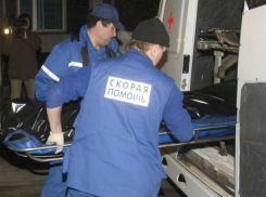 Пытавшиеся согреться газовой печью молодой мужчина и его мать уснули и не проснулись под Ростовом