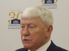 Донские депутаты попросят у правительства РФ 14 млрд для спасения фермеров