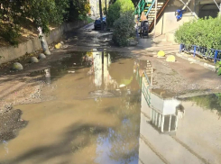 «Мы выполняем свой долг, а семьи тонут в нечистотах»: в Ростове боец СВО с передовой жалуется на канализационный коллапс