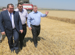 Губернатор Ростовской области поставил цель собрать девять миллионов тонн зерна