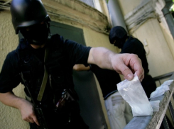 Дивную работу предлагают ростовчанам, где карьерный рост продолжается за решеткой