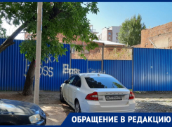 Жители пожаловались на огромные заросли амброзии в центре Ростова-на-Дону