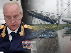 Глава СКР Бастрыкин взял на контроль ход расследования трагедии на Гребном канале в Ростове
