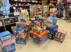 Полиция Ростовской области изъяла более 300 единиц пиротехнических изделий