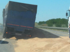 Вылетевшая на обочину фура вывалила на дорогу тонны зерна под Ростовом