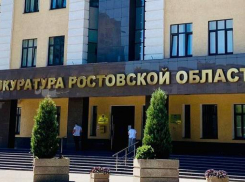 Чиновника оштрафовали за нерешение вопроса жительницы Ростовской области 