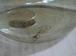 На паразитов в воде из крана на Левенцовке пожаловалась ростовчанка 