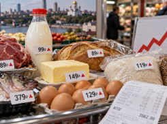 В Ростовской области за неделю подорожали мясо, молочные продукты и яйца