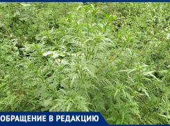 Железнодорожный район Ростова — лидер по неблагоустройству?