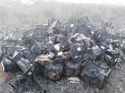 Несколько тонн тухлой рыбы в ящиках обнаружили возмущенные вонью ростовчане