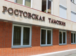Ростовские таможенники изъяли незадекларированные товары на 11,3 млн рублей