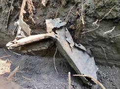 В Ростове в парке Авиаторов нашли остатки истребителя времен войны