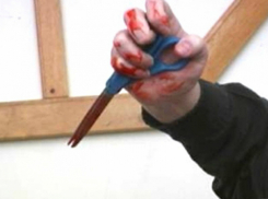 Ударивший 216 раз ножницами свою мать шизофреник избежит тюремного заключения в Ростовской области