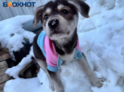 Из-за непогоды в Ростове ввели режим повышенной готовности  