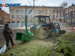 В Ростовской области рассказали о штрафах за выброшенные новогодние ели
