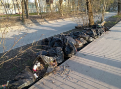 Мусор, собранный во время городского субботника, продолжает разносить ветер по Ростову