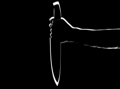 Двух человек убили из-за домашней птицы в Ростовской области
