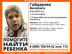 В Ростове-на-Дону пропала 8-летняя девочка
