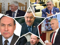 Коренной москвич, экс-атаман и внук писателя: кто согласился представлять Ростовскую область в Госдуме