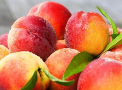 Свыше 4,5 тонн зараженных фруктов уничтожили в Ростове