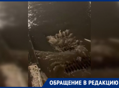 Центр Ростова затопило из-за ливня 13 декабря: видео