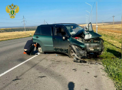 В Ростовской области прокуратура начала проверку после гибели детей в ДТП