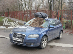 Жестокую войну автохамству объявили «народные ополченцы» Ростова