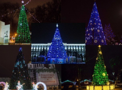 Голосование за звание «Самая красивая новогодняя ёлка Ростова» объявляется открытым!