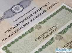 Минтруд предложил тратить материнский капитал на открытие бизнеса, Минэкономразвития – против