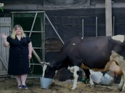 Стильные ростовские коровы попали на обложки американских глянцевых журналов