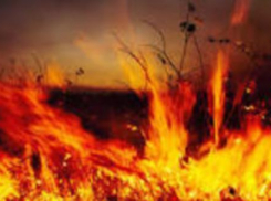 До конца рабочей недели в Ростове сохранится высокая пожароопасность