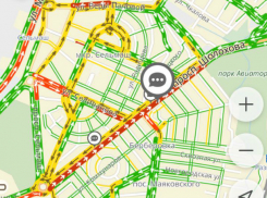 Спил деревьев в разгар рабочего дня в Ростове спровоцировал транспортный коллапс