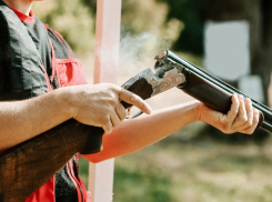 В Ростовской области с 10 января прекращается охота на копытных животных