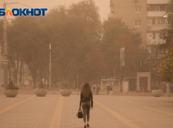 В Ростовскую область пришла сильная пылевая буря
