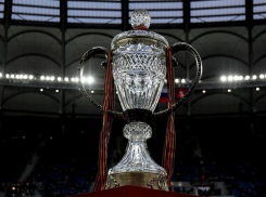 Компания из Ростова стала титульным спонсором Кубка России по футболу