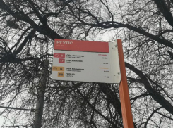 Хваленые указатели маршрутов в Ростове установили не в тех местах