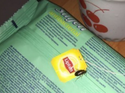 Тараканов в шахтинской больнице пообещали извести в ближайшие выходные