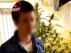 Дома у жителя Ростовской области обнаружили плантацию с марихуаной