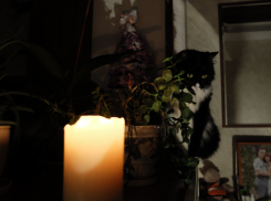 В Ростове с 14 по 18 ноября ожидаются массовые отключения электричества