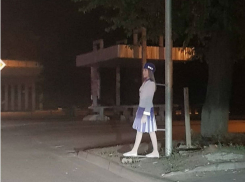 Стоящие вдоль дорог жуткие «девочки» до ужаса перепугали ростовчан