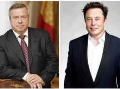 Василий Голубев получил нагоняй от администрации президента за приглашение Илона Маска