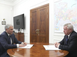 Спикер Госдумы Володин пообещал поддержку донскому губернатору Голубеву