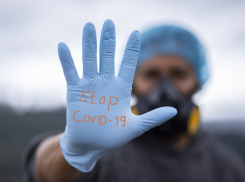 Жертвами COVID-19 стали 16 человек из Ростовской области
